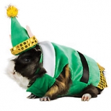 Save 25% on Holiday Small Animal Costumes at PetSmart.com