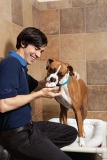 30% off all Online Only Products at PetSmart.com