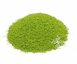 MATCHA 20G TIN $32.00