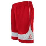 Reebok Men’s Mesh Banded Shorts $11.99 Shipped